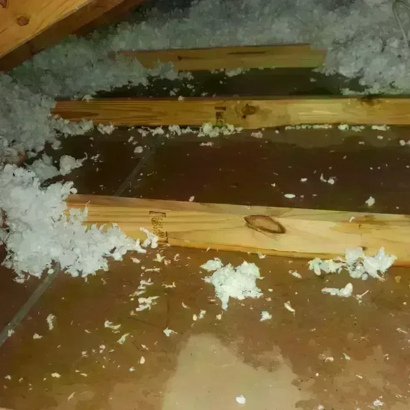 Attic Water Damage in Hobart, IN